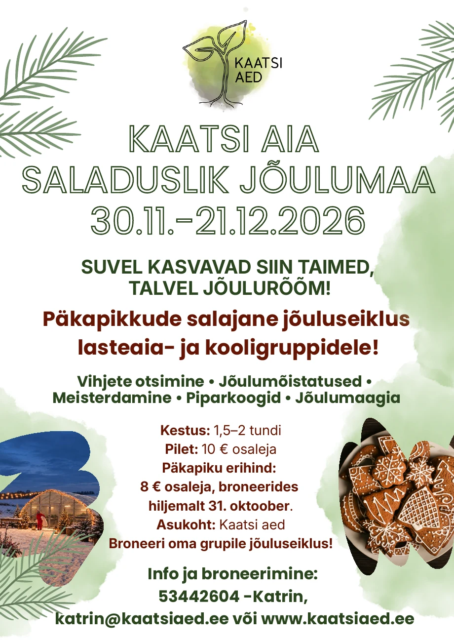 KAATSI AIA saladusliku jõulumaa kuulutus: kuuseoksad, jõulutuledes kasvuhoone ja piparkoogid